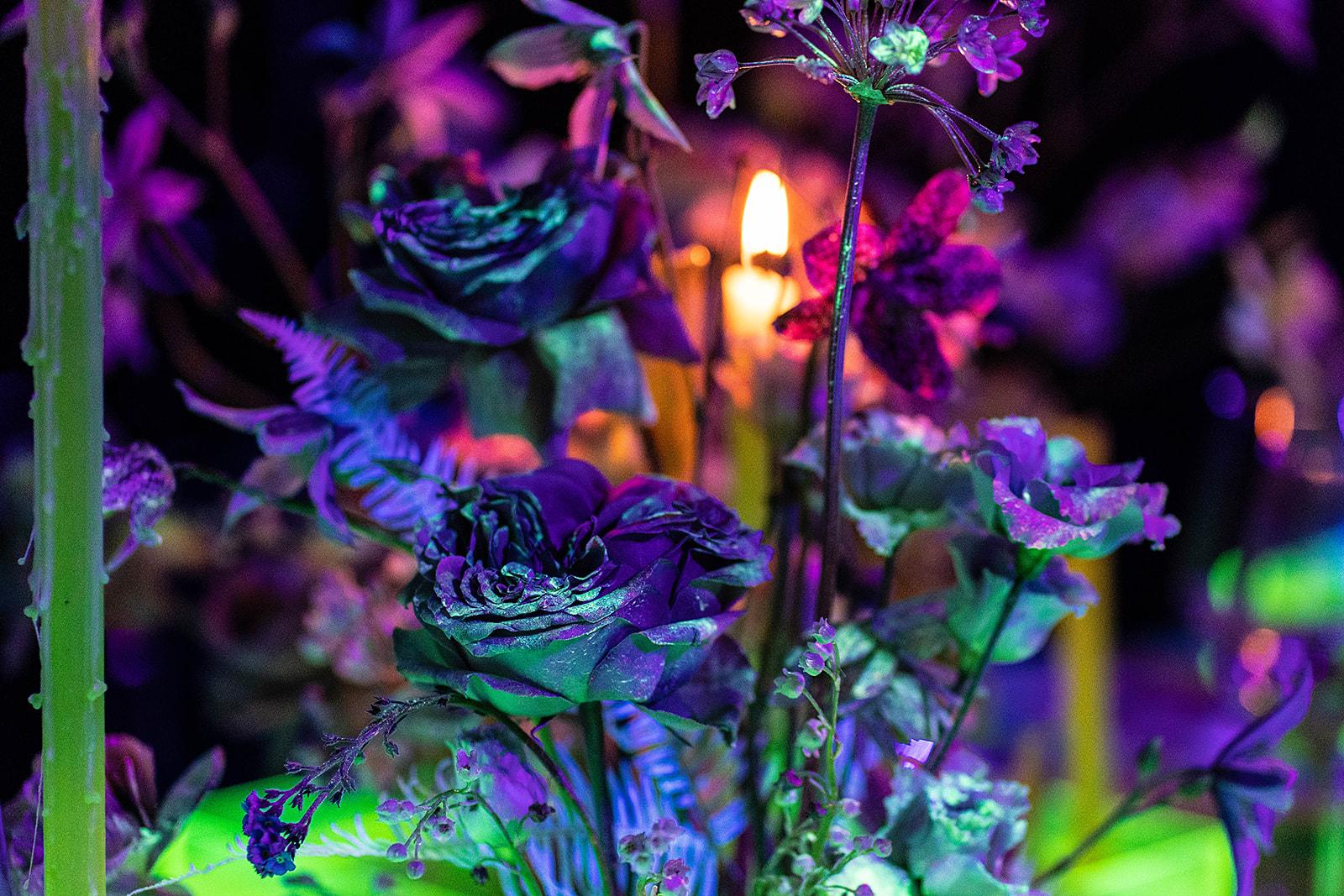 flori neon